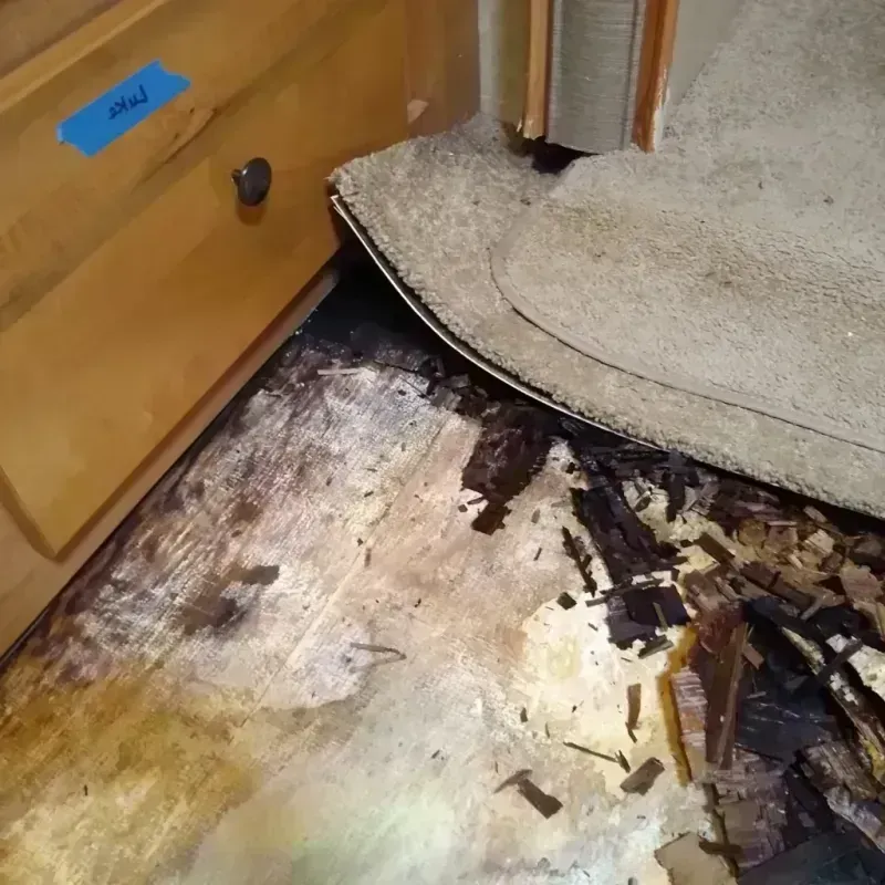 Wood Floor Water Damage in Wellford, SC